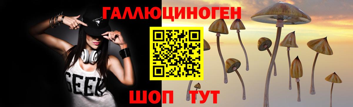 купить  сайты  Псилоцибиновые грибы мицелий  Тавда  Вход с VPN  Галлюциногенные грибы Cubensis 